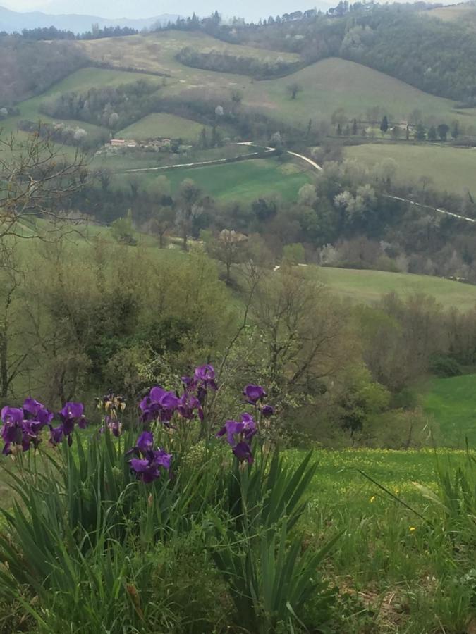 Green B&B Urbino Ca Del Vento Dış mekan fotoğraf